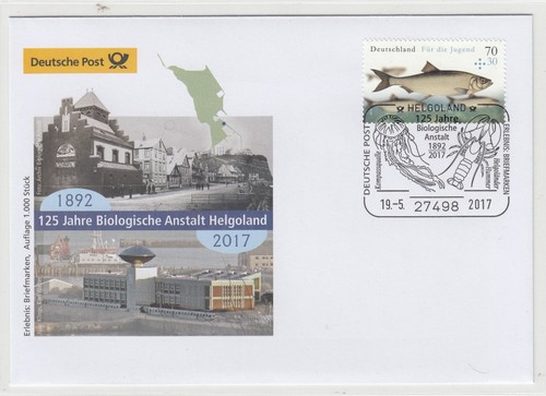 1429 beleg bund sst 2017 - 1429,